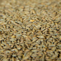 Gambrinus Rye Malt