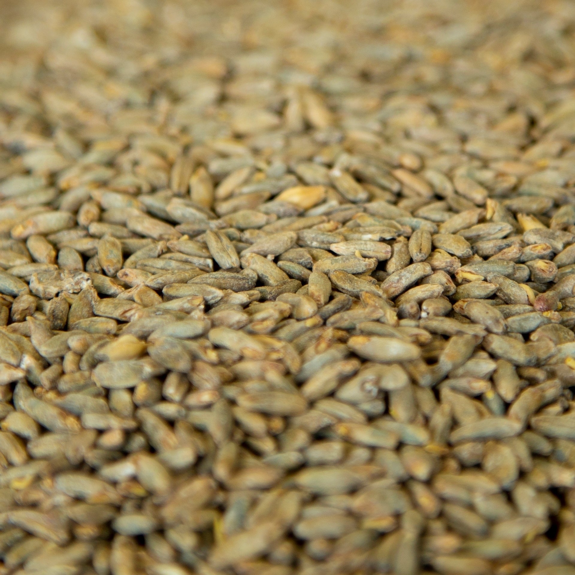 Gambrinus Rye Malt