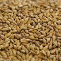 Dingemans Biscuit® Malt