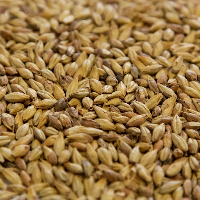 Dingemans Biscuit® Malt