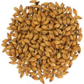 Special B Malt - Dingemans Malting