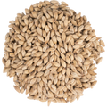 Golden Promise Malt - Simpsons Malt