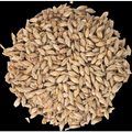 Honey Malt - Gabrinus Malting®