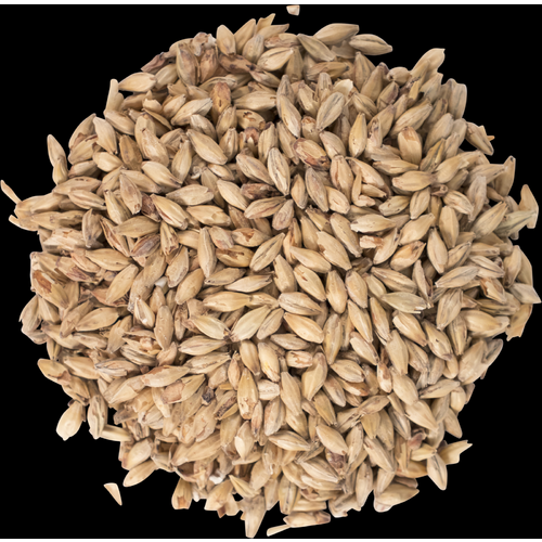 Honey Malt - Gabrinus Malting®