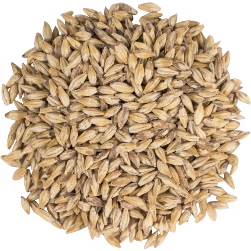 Carapils Malt - Briess Malting