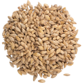 Acidulated Malt