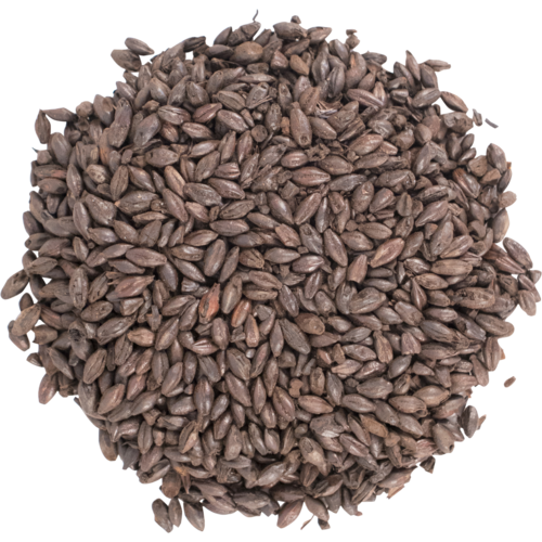 Black (Patent) Malt - Briess Malting