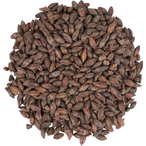 Roasted Barley - Briess Malting