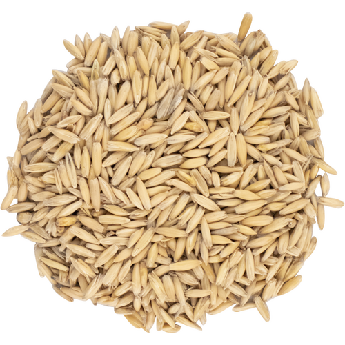 Oat Malt - Thomas Fawcett Malting