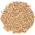 Wheat Malt - Viking Malt
