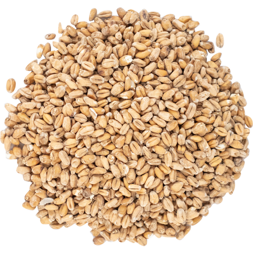 Wheat Malt - Viking Malt