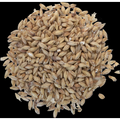 Goldpils® Vienna Malt - Briess Malting