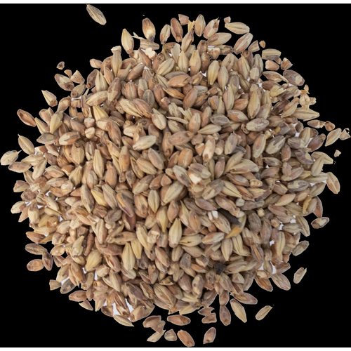 Victory Malt