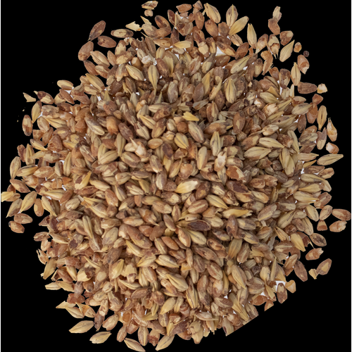 Caramel 20L Malt - Briess Malting