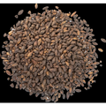 Chocolate Malt - Briess Malting
