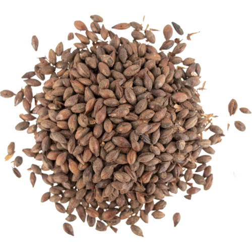 Carafa® Special III Malt - Weyermann® Specialty Malts