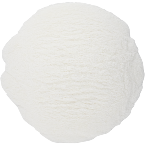 Amylase Enzyme