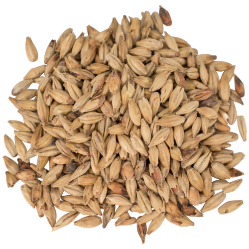 Melanoidin Malt